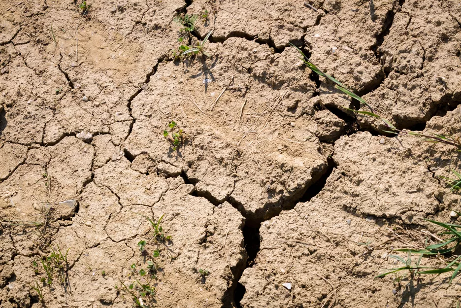 Drought cracks in soil (Tom Freudenberg/pict-images)