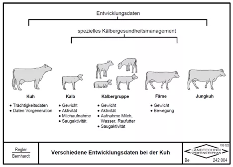 Verschiedene Entwicklungsdaten bei der Kuh (Grafik: Regler, Bernhardt/TUM)