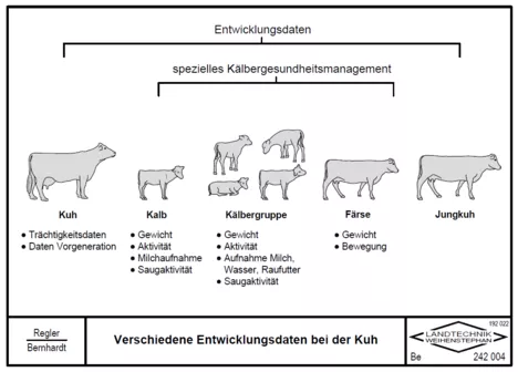 Entwicklungsdaten bei der Kuh - Kuh: Trächtigkeitsdaten, Daten Vorgeneration - Kalb: Gewicht, Aktivität, Milchaufnahme, Saugaktivität - Kälbergruppe: Gewicht, Aktivität, Aufnahme Milch, Wasser und Raufuter, Sauaktivität - Färse: Gewicht, Bewegung