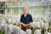 Prof. Brigitte Poppenberger (Professorship for Biotechnology of Horticultural Crops) in the greenhouse (© Andreas Heddergott/TUM)