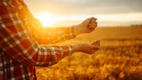 Man standing in front of wheat field in the sunset, holding wheat grains in his hand